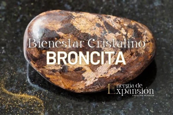 Taller Activación Broncita