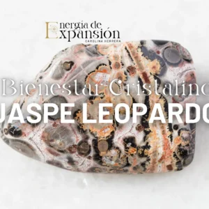 Taller Activación Jaspe Leopardo