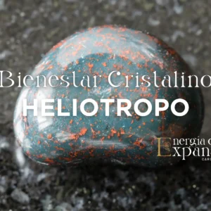 Taller Activación Heliotropo