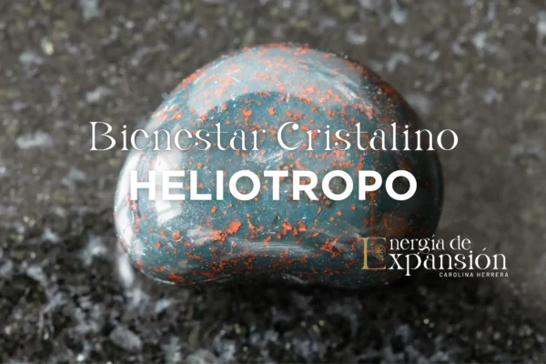 Taller Activación Heliotropo